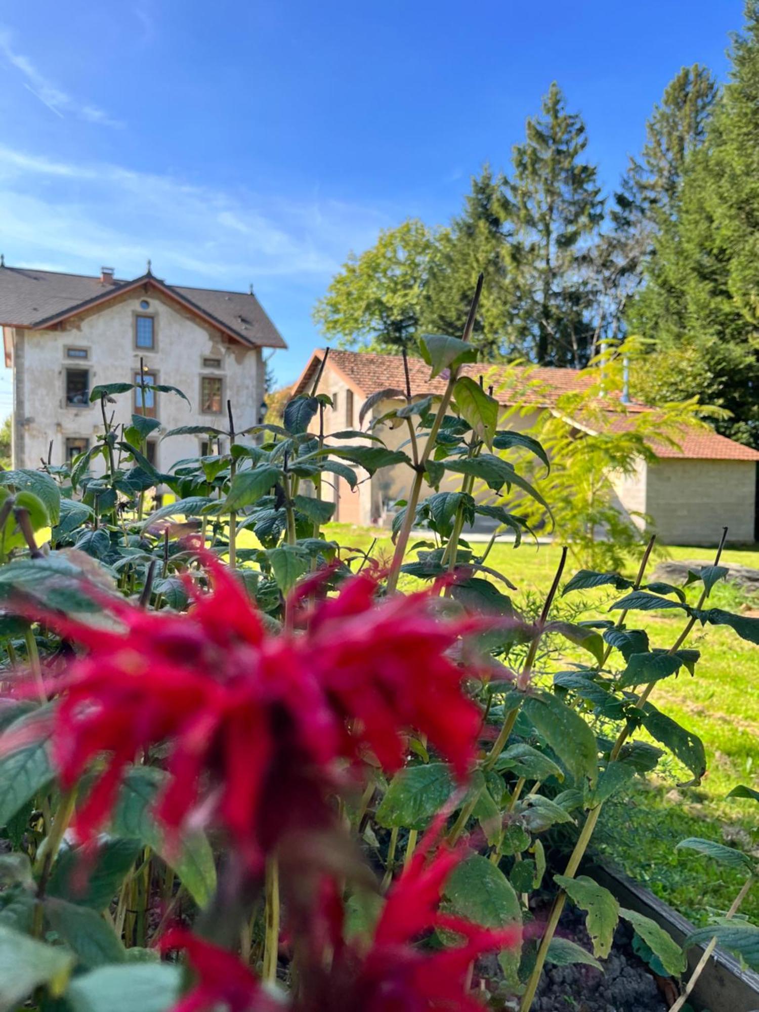 Chambre D'Hote Cosy Domaine Du Bagnerot La Chapelle-aux-Bois Buitenkant foto